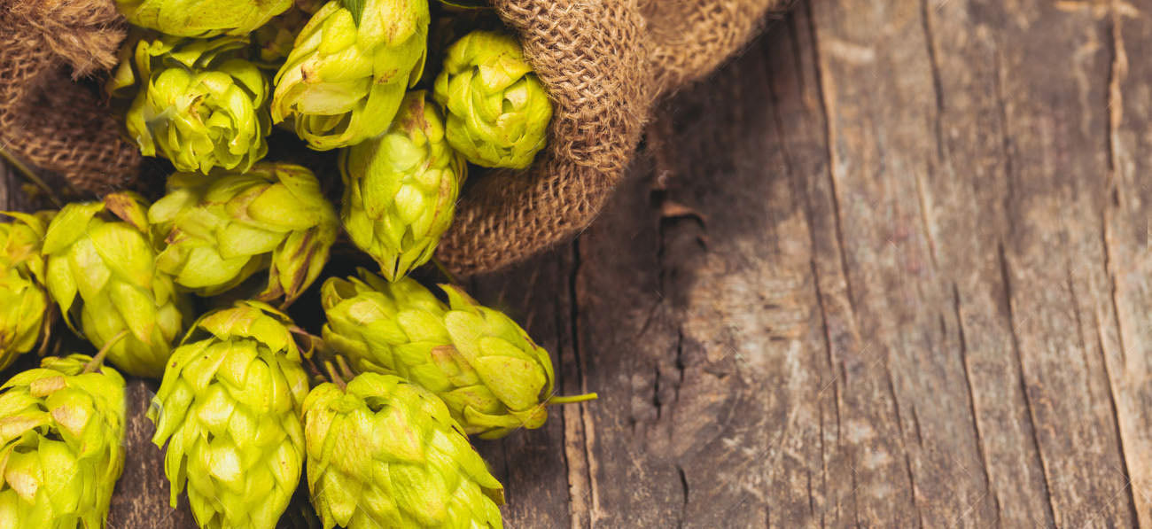 HOPS are Good For you!