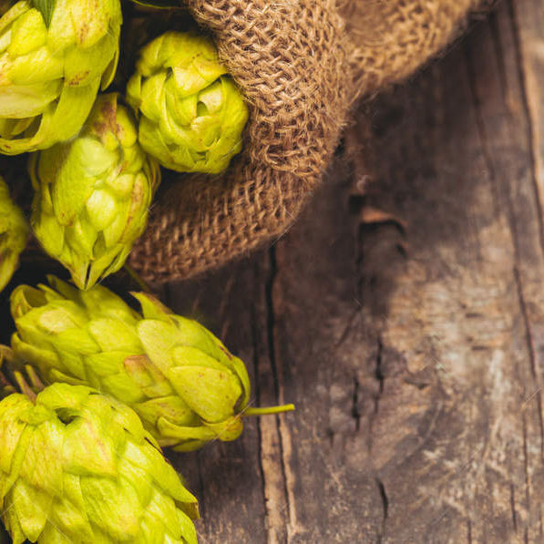 HOPS are Good For you!