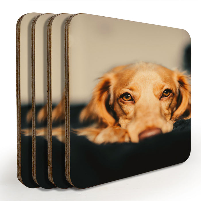 Custom Wooden Square Coasters - Upload Your Photo - Set of 4 w/ Coaster Caddy
