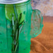 BarConic® Cactus Mason Jar Glass - W/ Lid