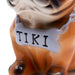BarConic® Tiki Drinkware - Tiki the Frenchie