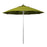California Umbrella 9' Pole Push Lift SUNBRELLA With Silver Anodized Aluminum Pole - Kiwi Fabric