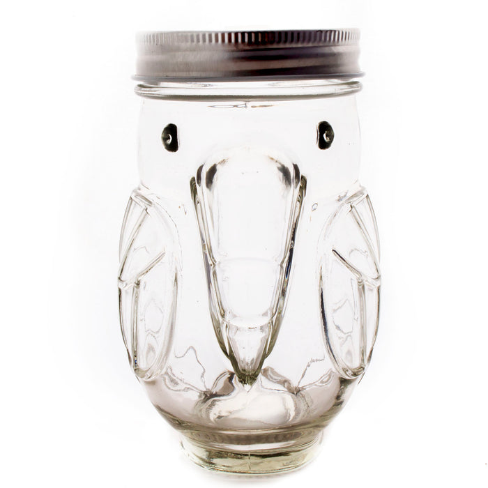 BarConic® Parrot Mason Jar w/lid - 14 ounce