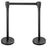 BarConic® 36" Stanchion with 6 1/2" Retractable Belt - Set of 2