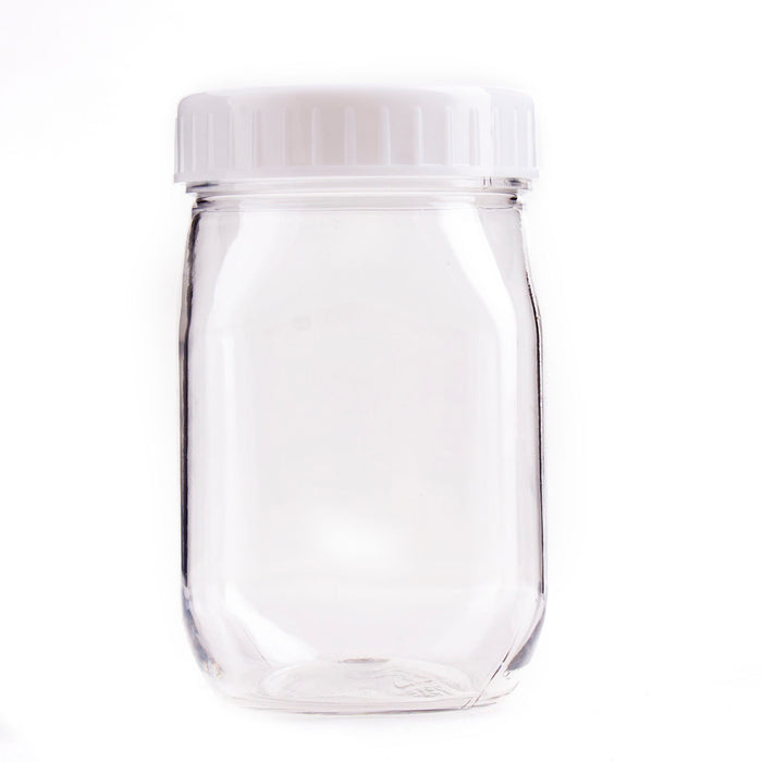 4 ounce Mini Mason Jar - 10 pack
