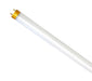 Curtron Pest-Pro Series 100 - UV Lamp