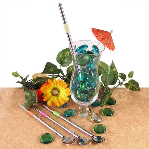 Metal Straw and Spoon Combo (4 Pack)