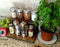 Counter Caddies™ - Walnut-Stained Straight Shelf - Culinary / Spice Rack - herbs and ingredients